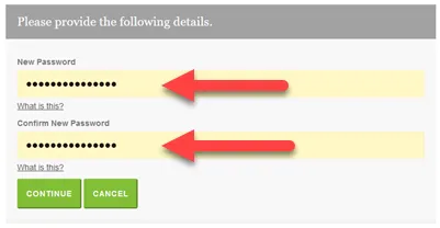 New password input screen during password reset