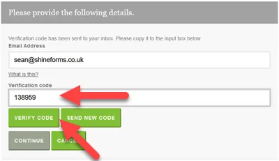 Verification code input screen for password reset