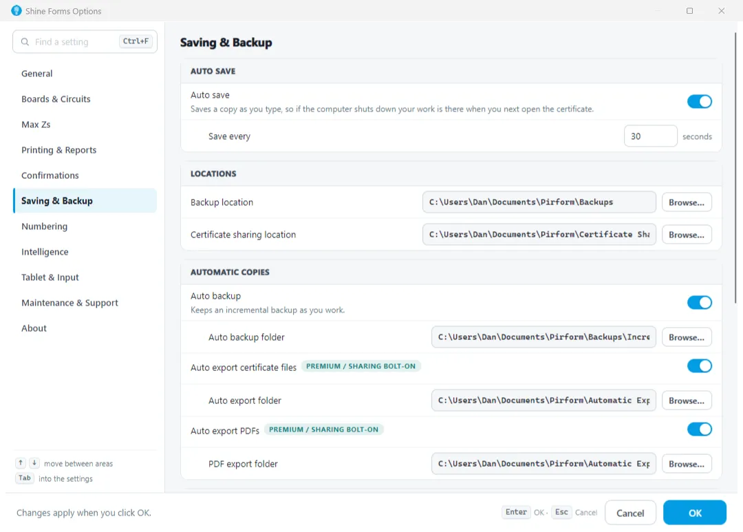 Shine Forms options showing saving and backup configuration