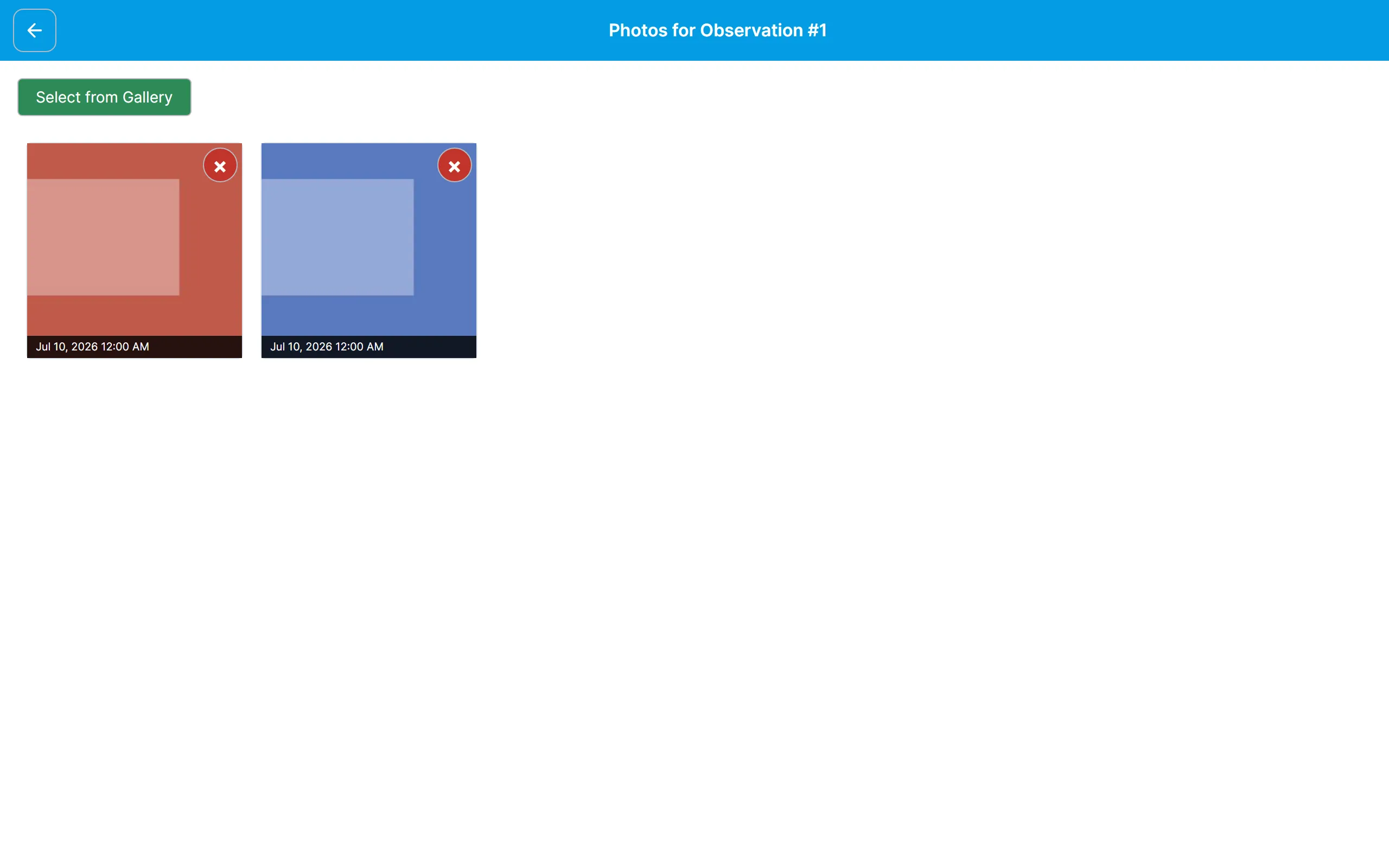 The photo manager for an observation